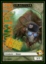 Beast Token – Custom: Swagtusk